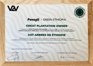 panopli green ethiopia